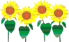 [Grasshopper Gifts]